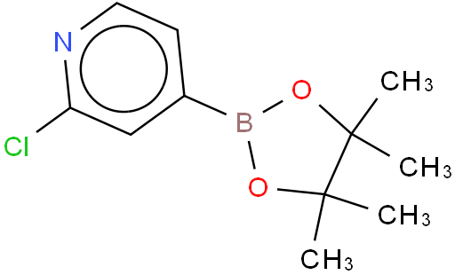 2-氯-吡啶-4-硼酸频哪醇酯