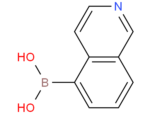 5-异喹啉硼酸
