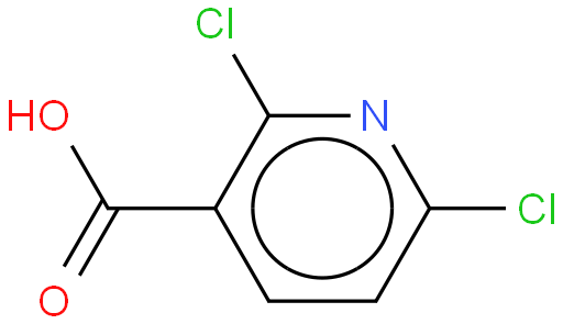 2,6-二氯吡啶-3-羧酸