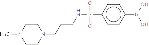 4-N-吗啉基磺酰苯基硼酸