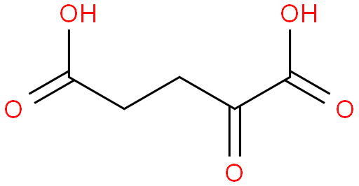 α-酮戊二酸