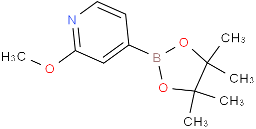 2-甲氧基吡啶-4-戊酰硼酸