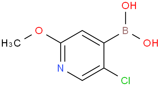 5-氯-2-甲氧基-4-吡啶硼酸