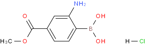 2-氨基-4-甲氧羰基苯基硼酸盐酸盐