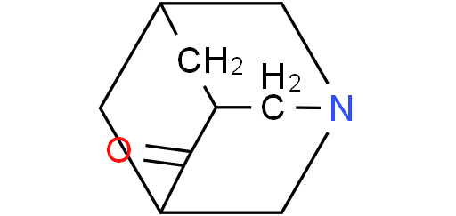 5-氮杂金刚烷-2-酮