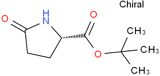 L-焦谷氨酸叔丁酯