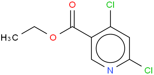 4,6-二氯烟酸乙酯