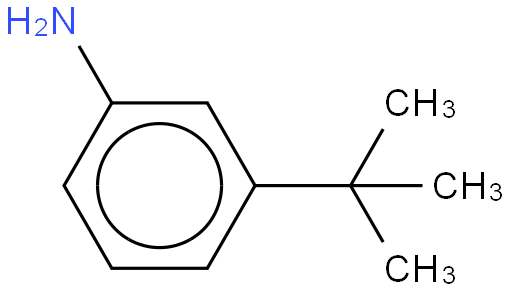 3-叔丁基苯胺